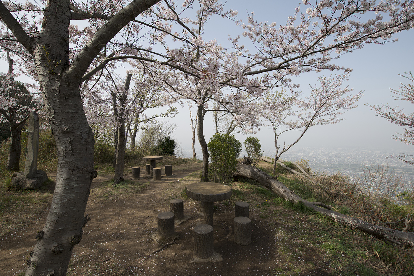 飯盛山