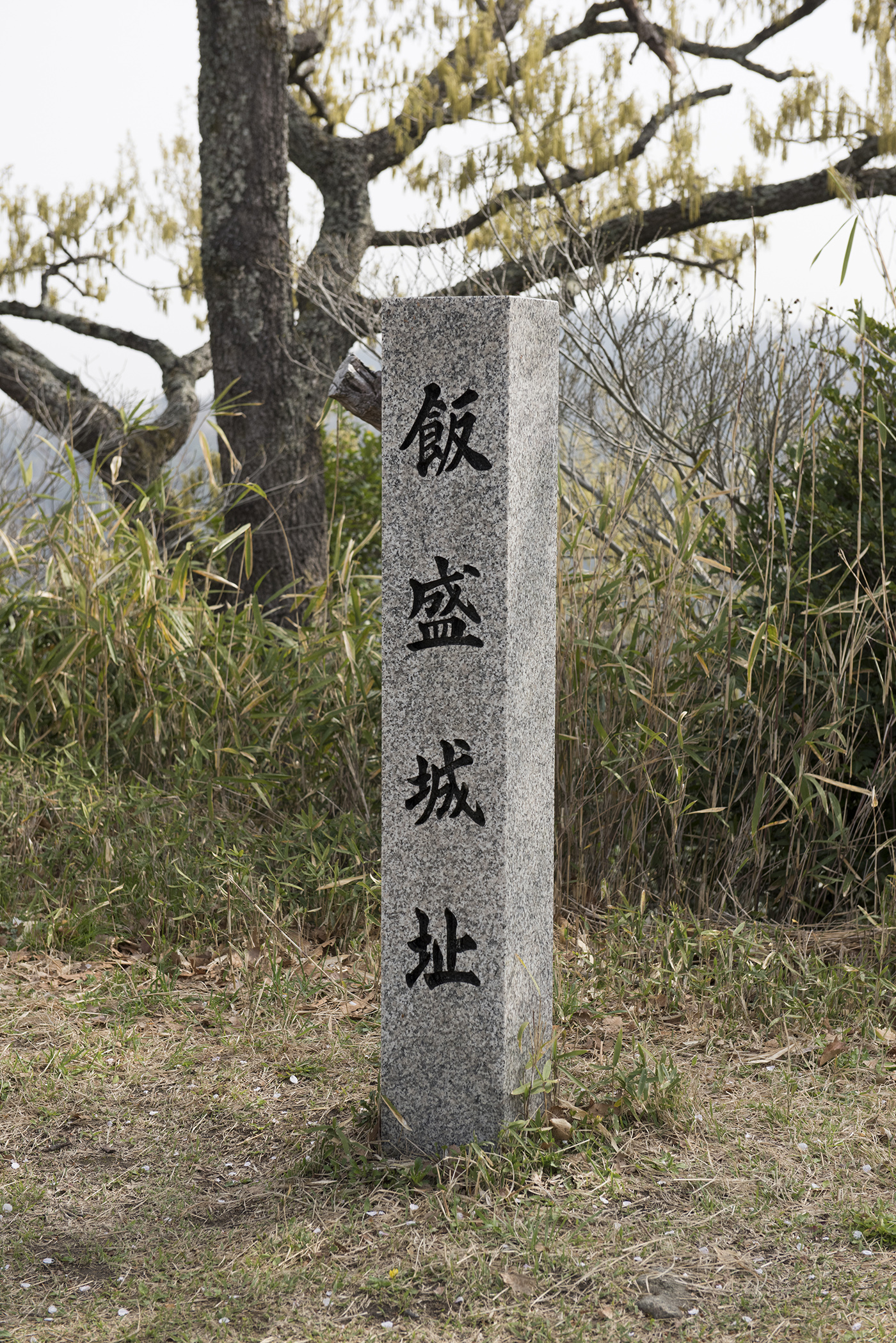 飯盛城跡