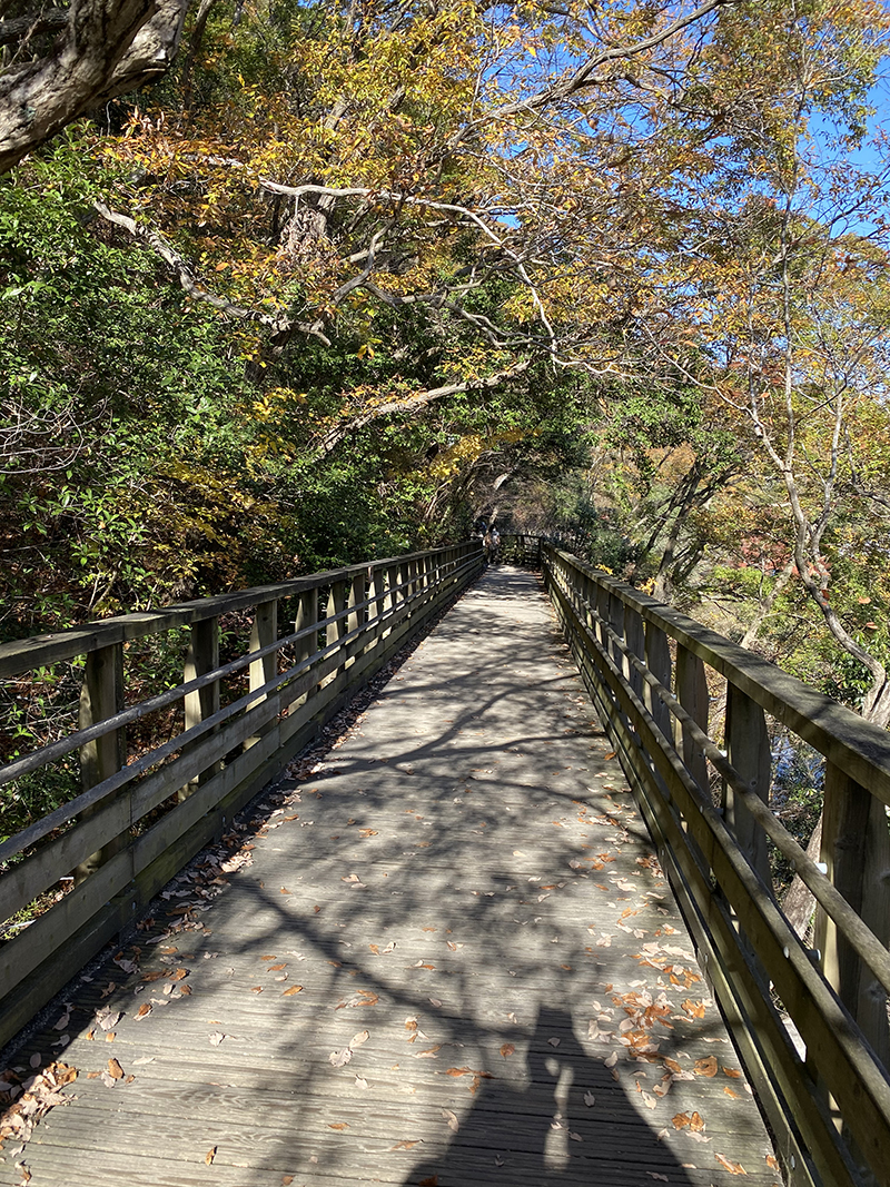 森林鉄道風歩道橋